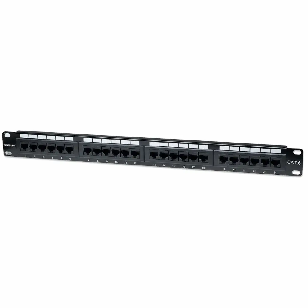 Dlite Cat6 UTP Path Panel,24 Port Loaded With Supporting Cable Manager