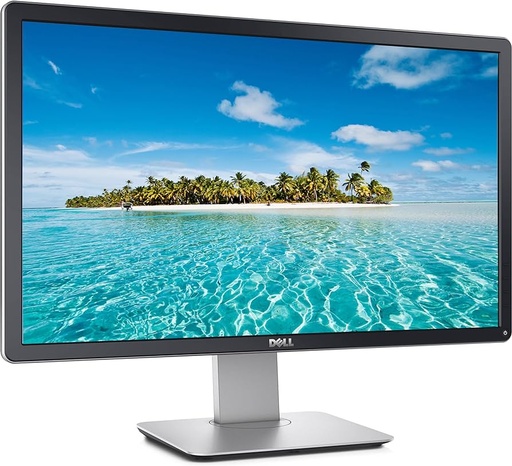 Dell LCD Monitor P2414hb   24 inch